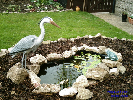 Pond 2007