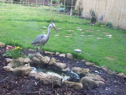 Kitchen Window Veiw Of Pond :)