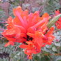 DSCN0255.jpg