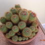 DSCN0281.jpg