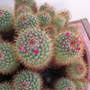 DSCN0282.jpg