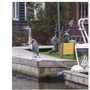 heron feeding next to a plastic heron