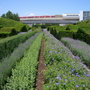 Thames Barrier Park June 2007