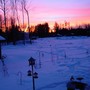 Yard_pictures_110