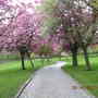 DSCN1063.jpg