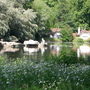 Pelican in St James's Park June 2007