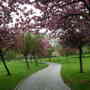 DSCN1064.jpg