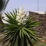 DSCN0324.jpg