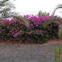 Fuerteventura