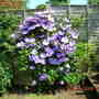 DSCN0213.jpg