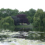 St James's Park June 2007