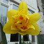 march_041.jpg