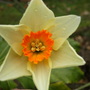 march_047.jpg