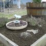 New Herb Garden