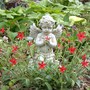 Fire_pink_guardian_angeloftheflower5-02-03