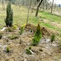 Pict0330