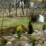 Pict0331