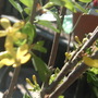 Taricq_march_13h_2008_no_5_018