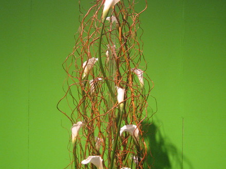 plant sculpture