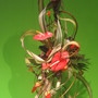 plant sculpture