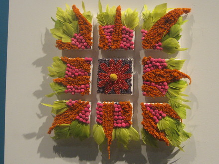 plant picture