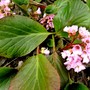 Pict0359