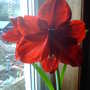 March14_002