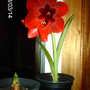March14_010