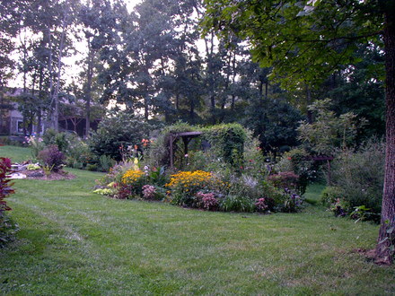 garden in late summer