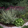 6-30-07_088