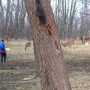 Di_feeding_10deer_with_me_3-13-05_good