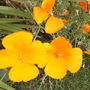 Pict0585
