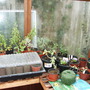 Inside Garden Headquarters