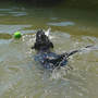 Learning Retrieve