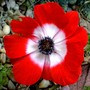 Pict0383