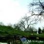 Wildlife pond