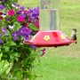 Yard_pictures_133