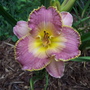 7-3-07_011