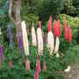 Dscf0144