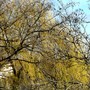 Pict0422