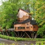 Tree House