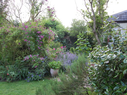 Avenue Cottage