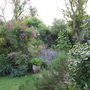 Avenue Cottage