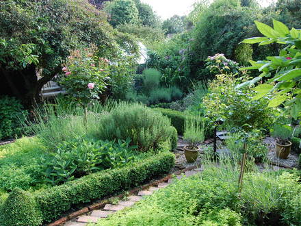 Avenue Cottage