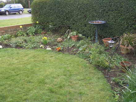 My front garden