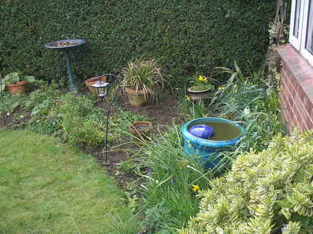My front garden