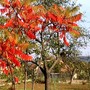 October 2007