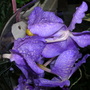 Dscn1689