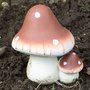 My Mushrooms:)