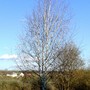 Pict0444